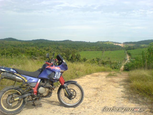 Photo 1670151