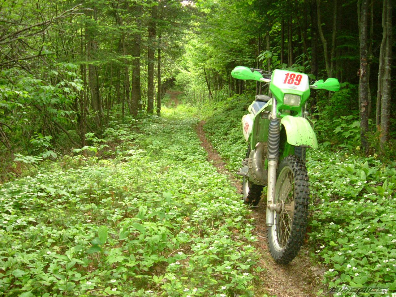 Bike Photo 167021