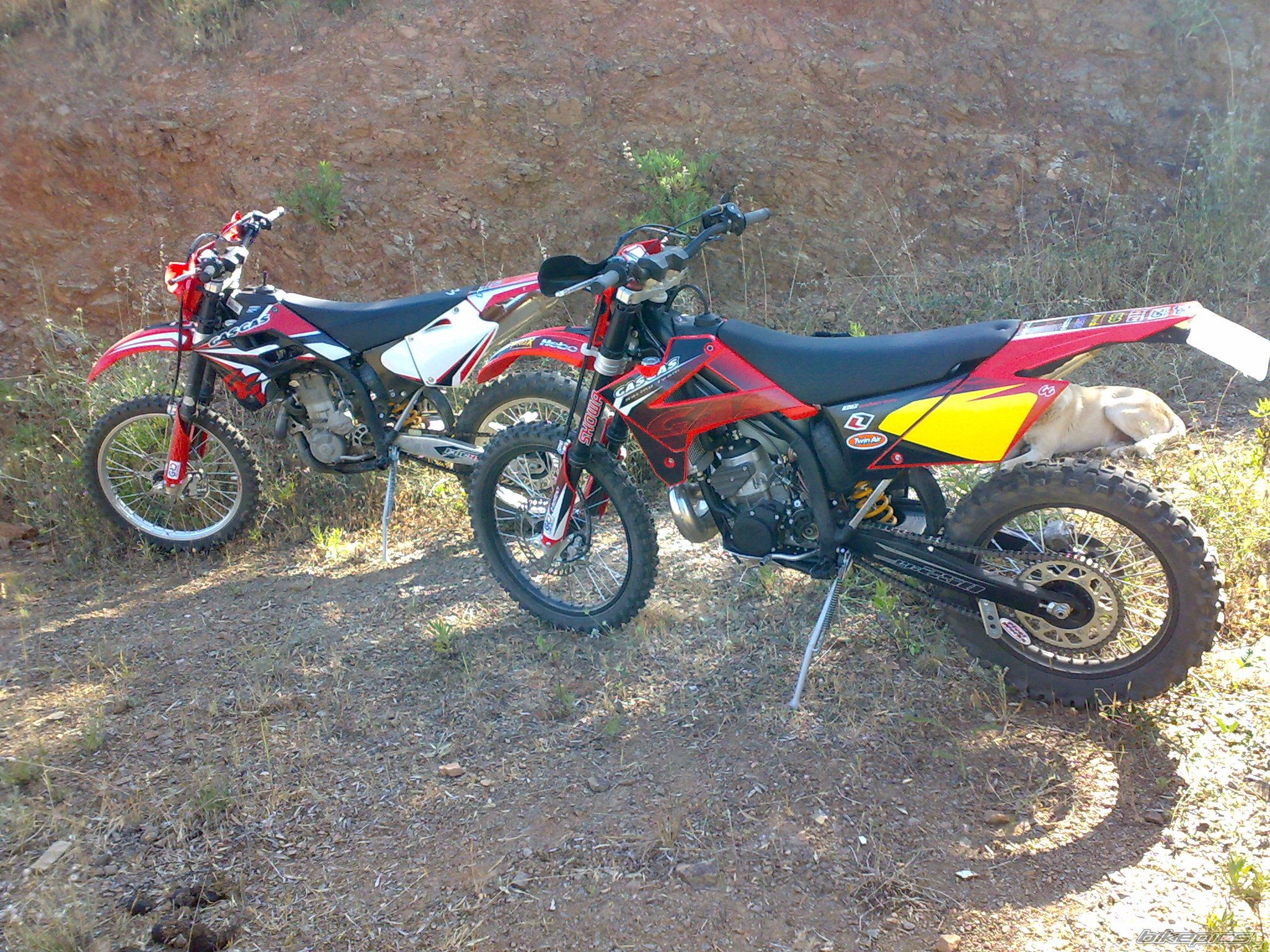 Photo 1670245