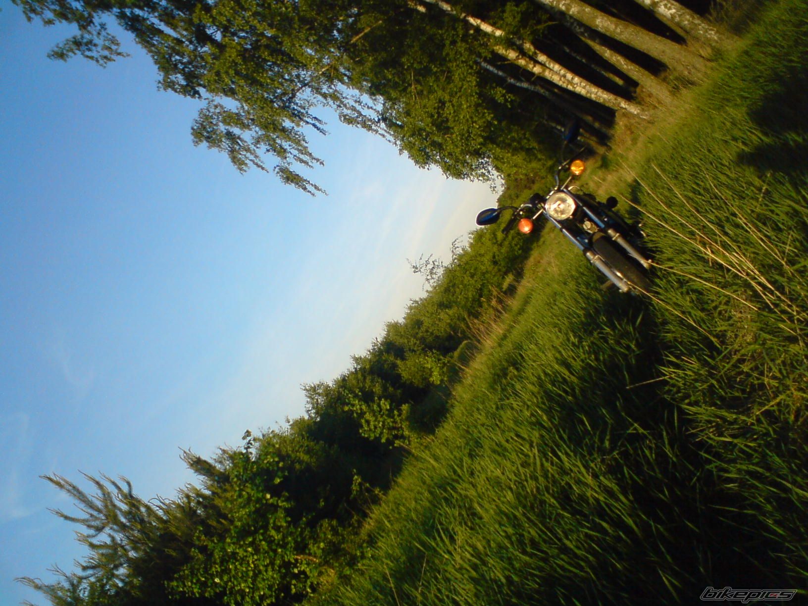 Photo 1670367