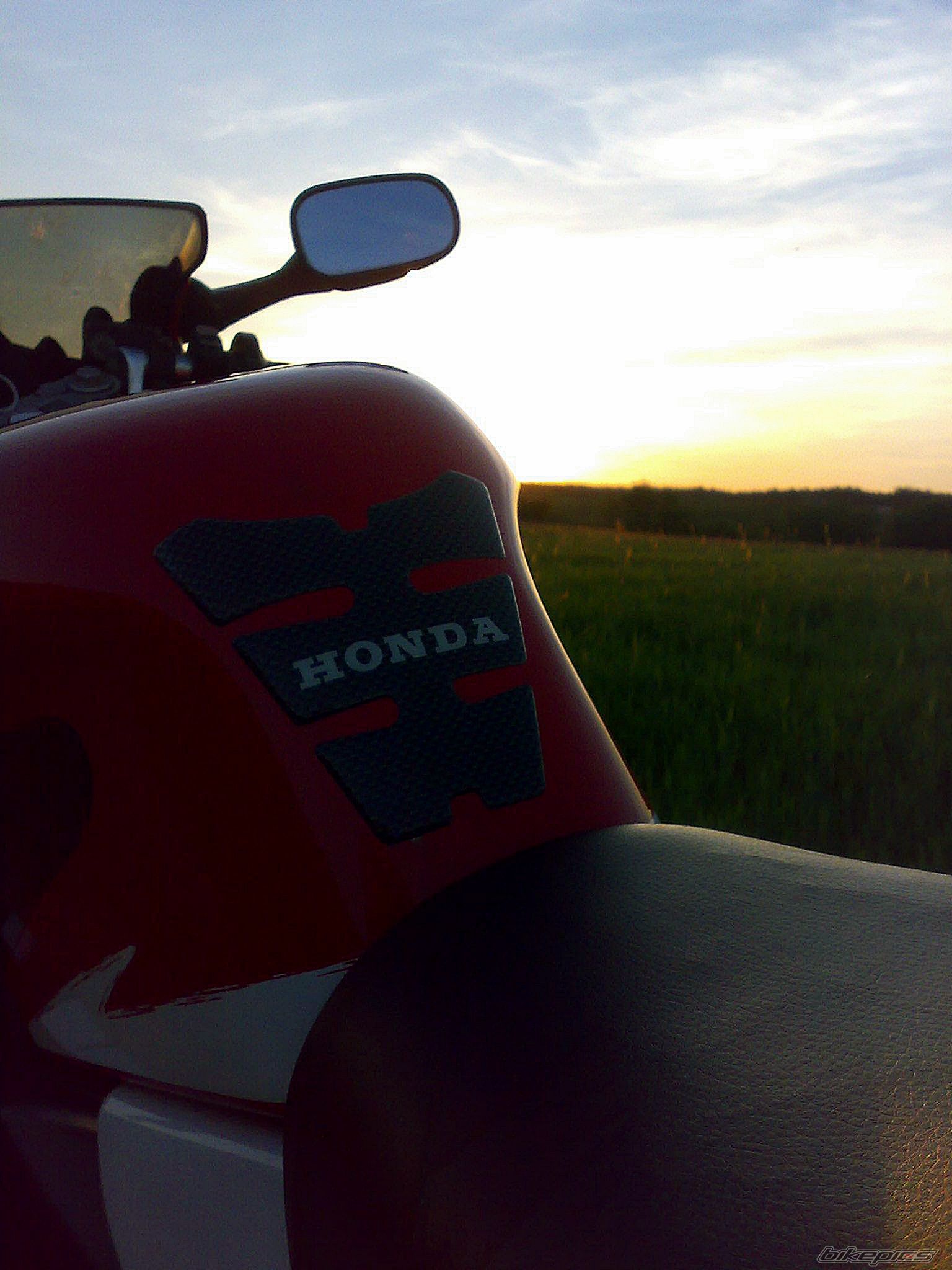 Photo 1670372