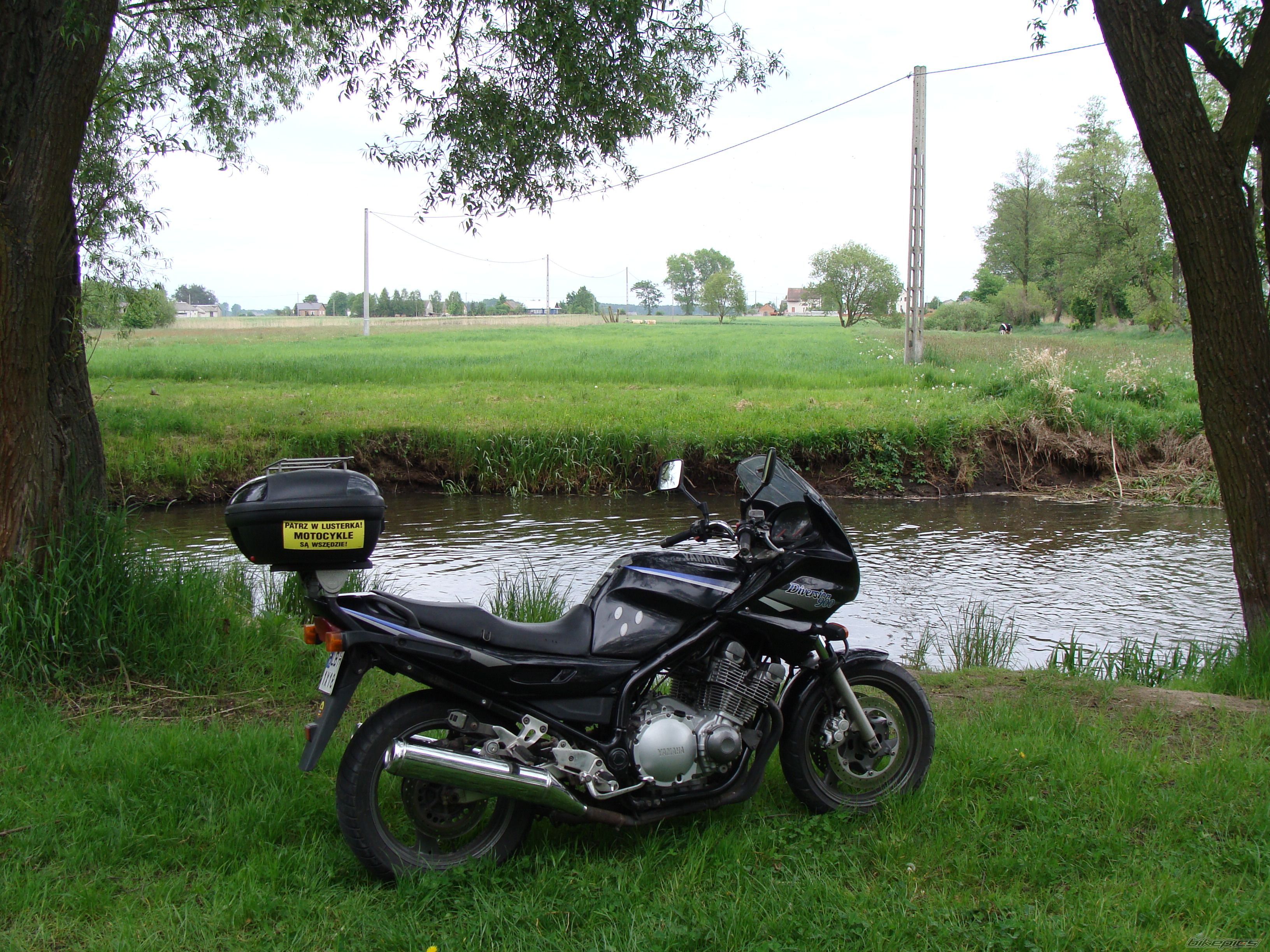 Photo 1670385