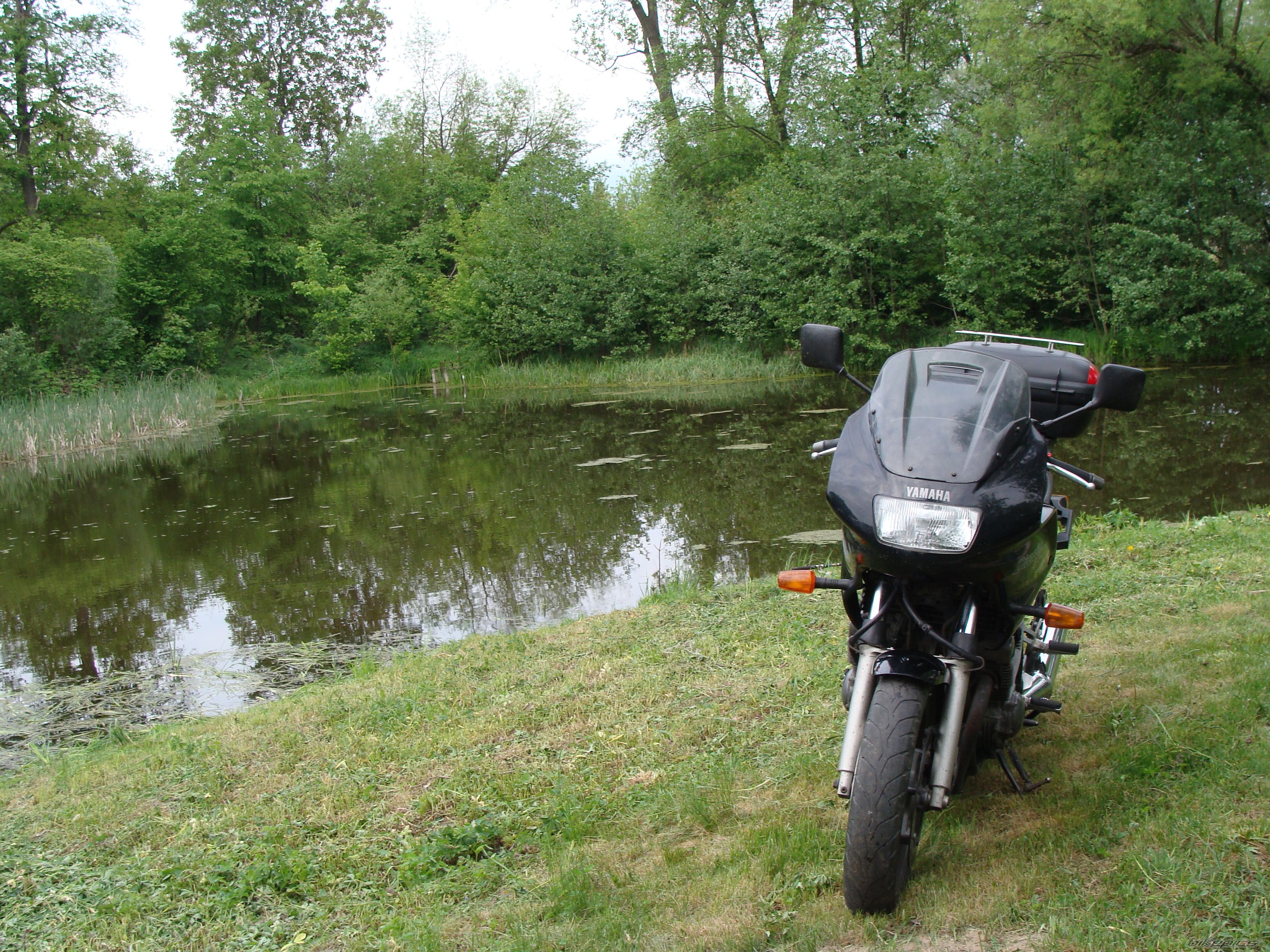 Photo 1670467