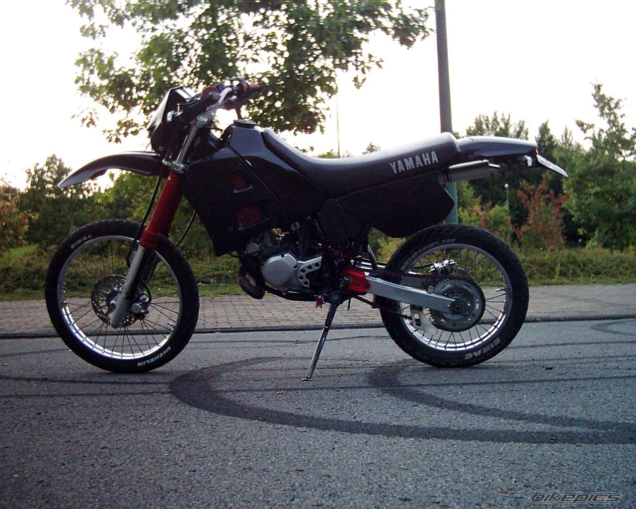 Photo 167049
