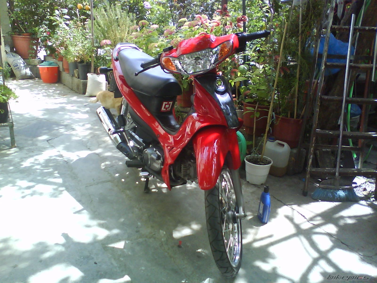 Bike Photo 1670496