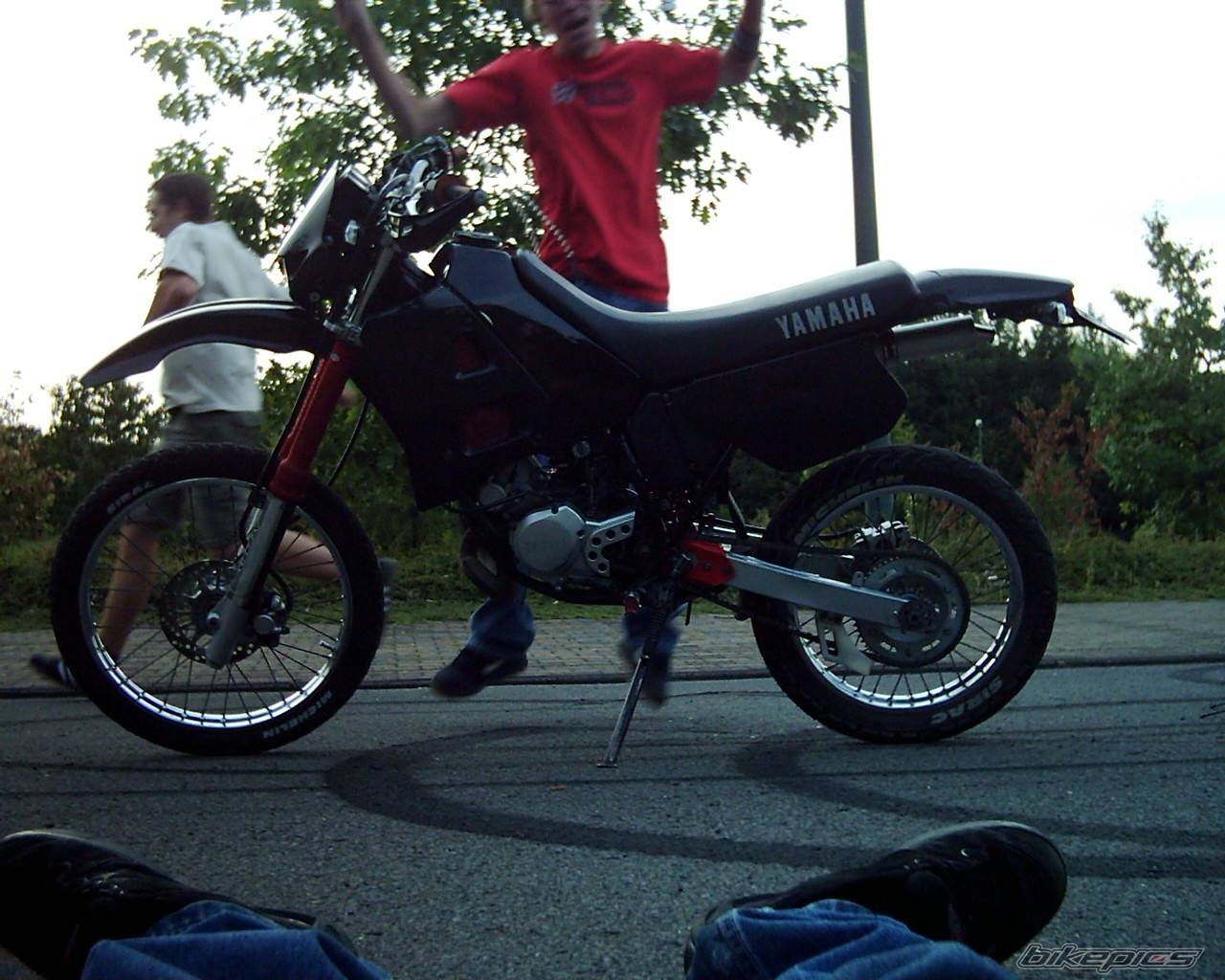 Photo 167097