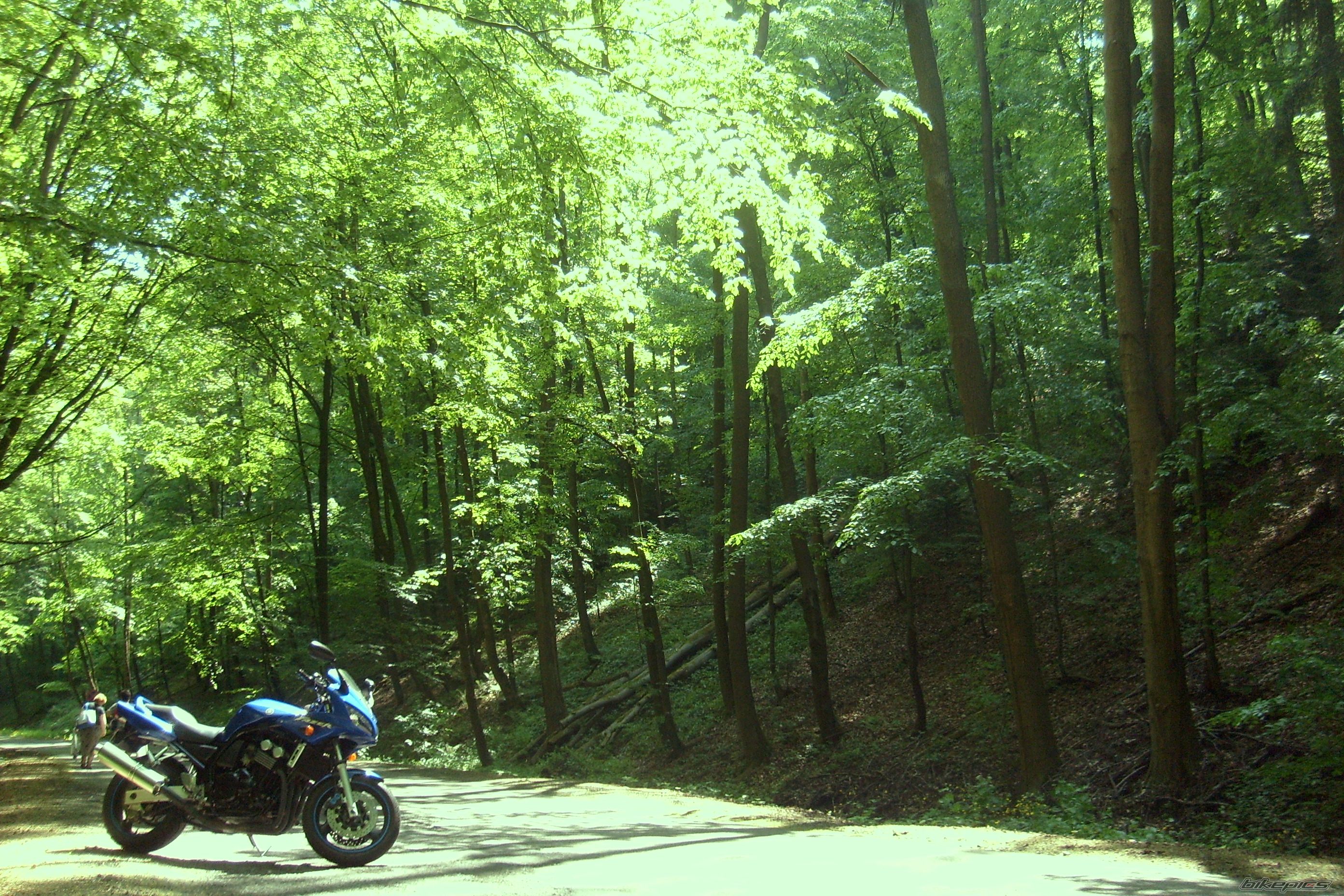 Bike Photo 1671052