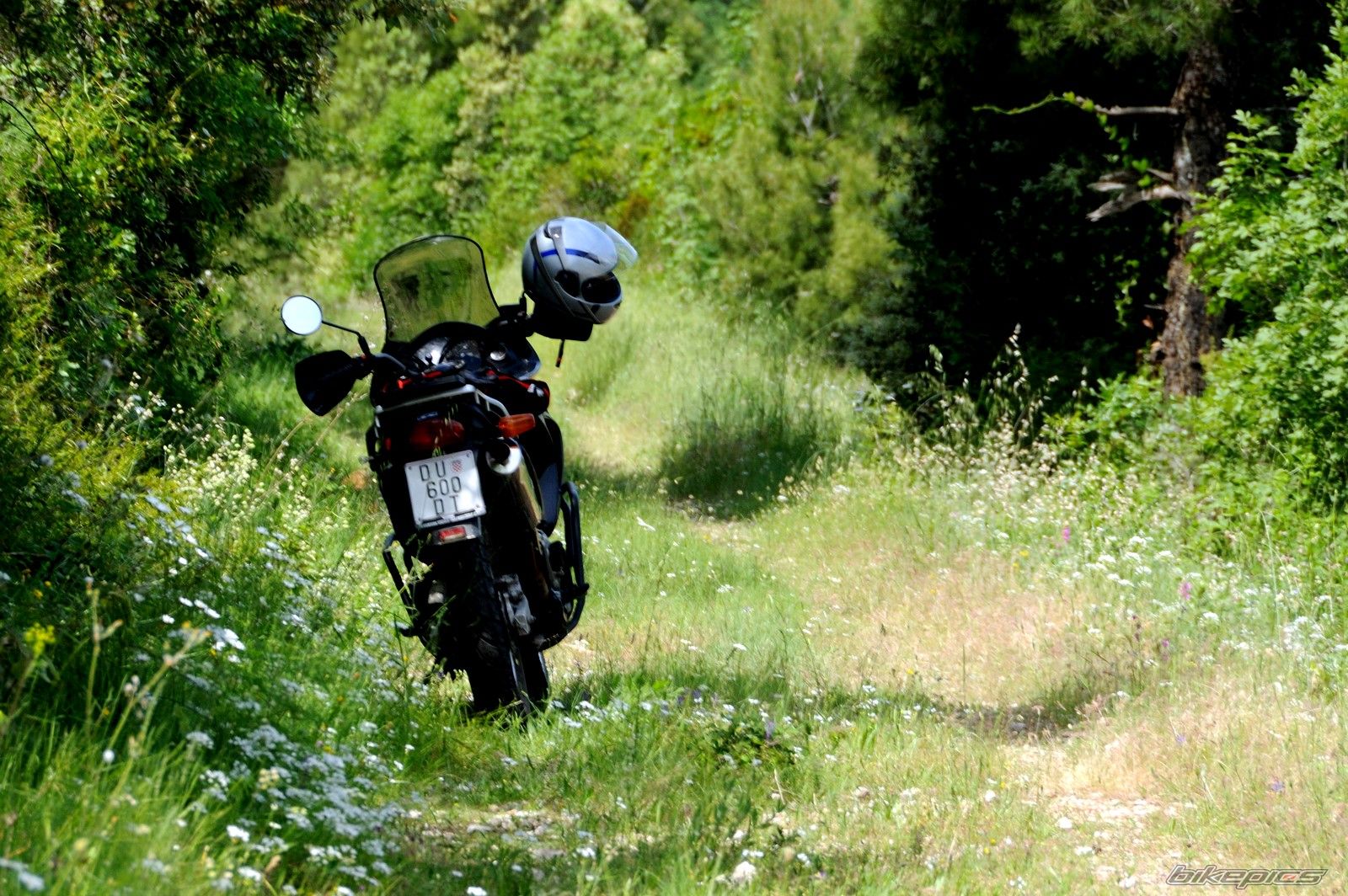 Bike Photo 1671157