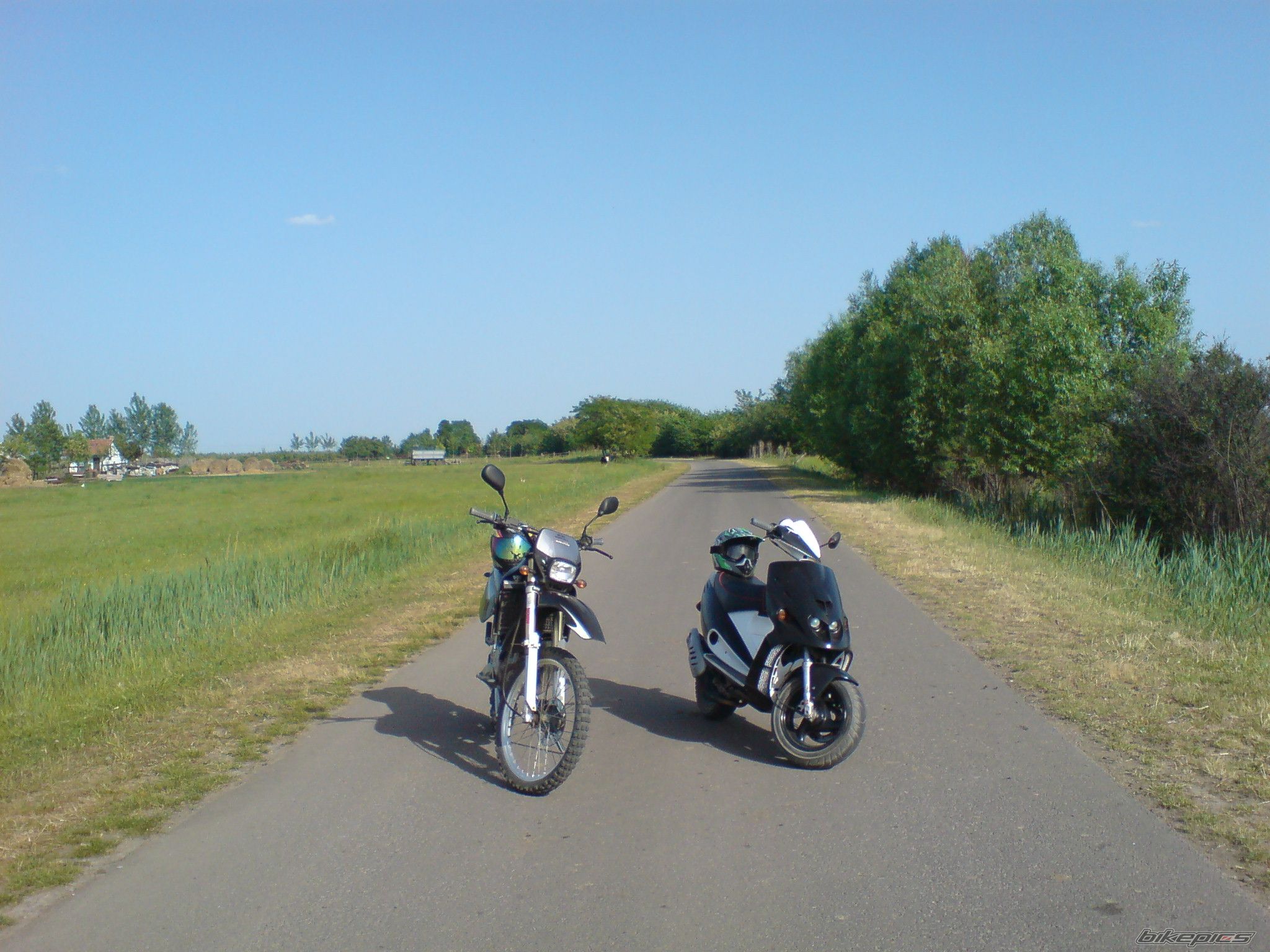 Photo 1671290