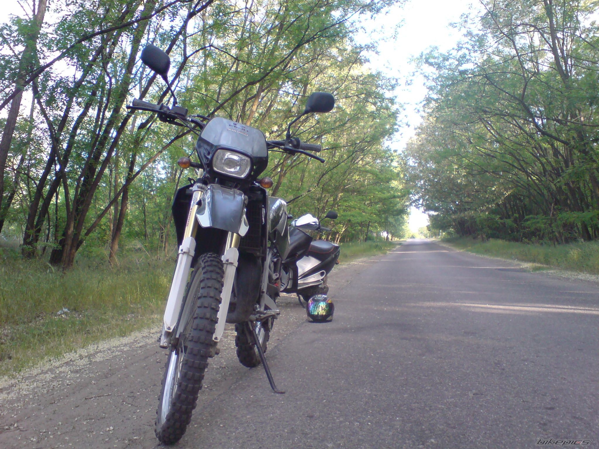 Photo 1671292