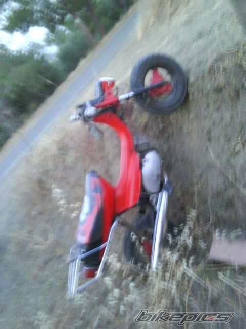 Photo 1671419
