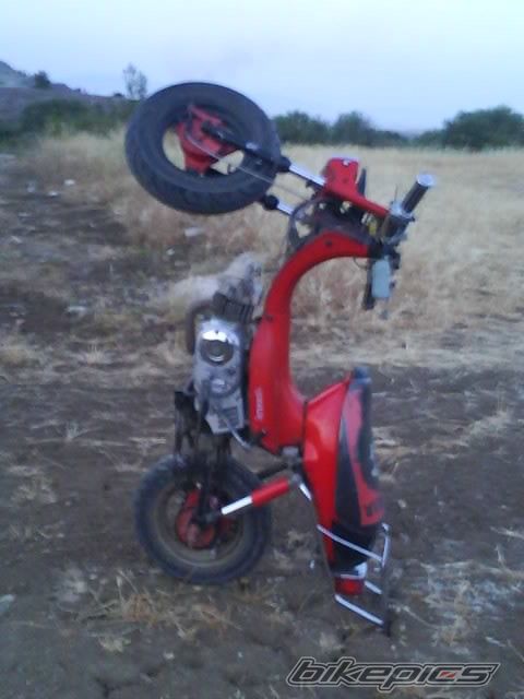 Photo 1671422