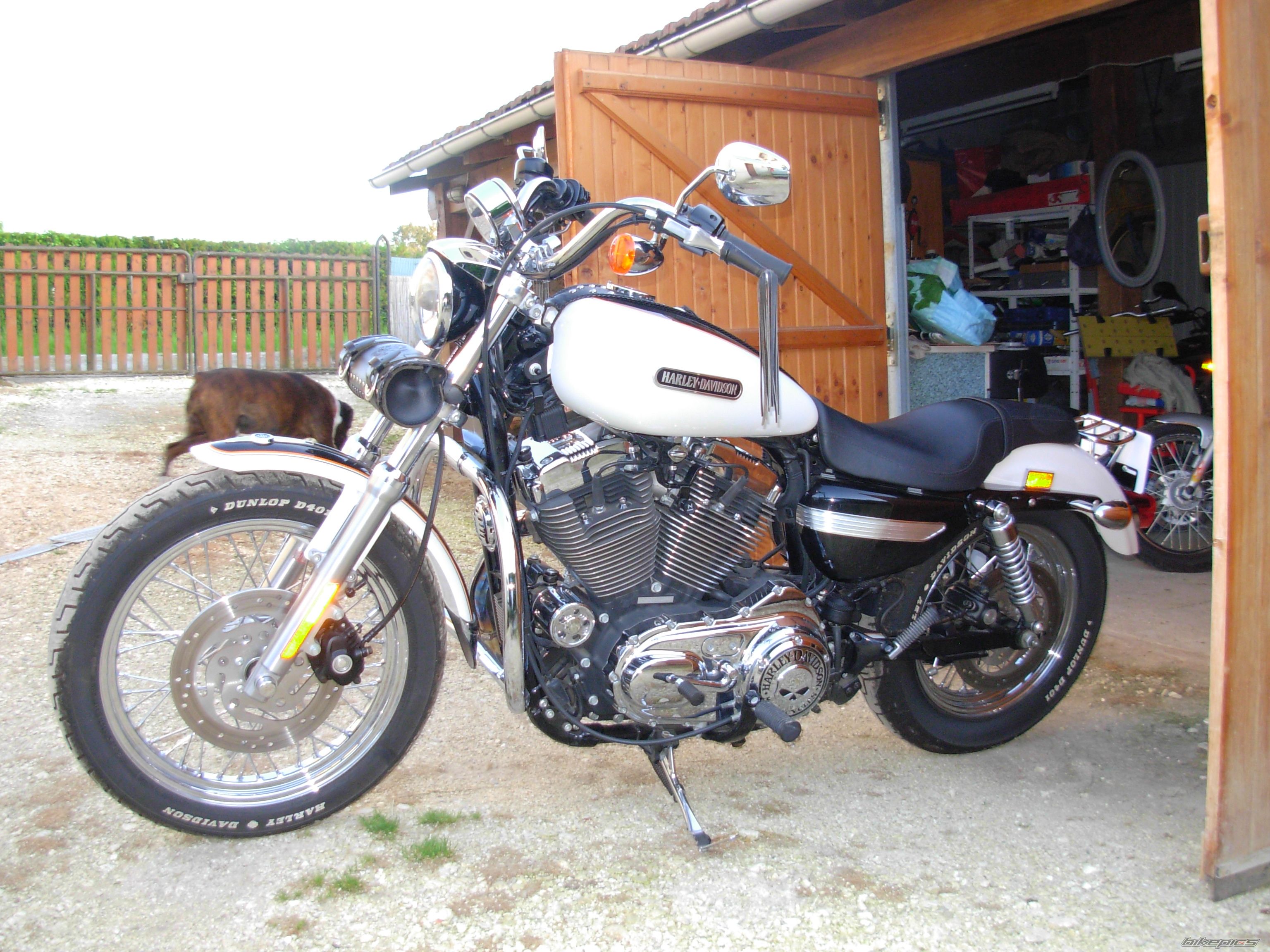 Photo 1671445