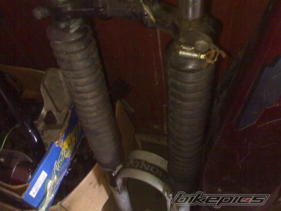 Photo 1671474