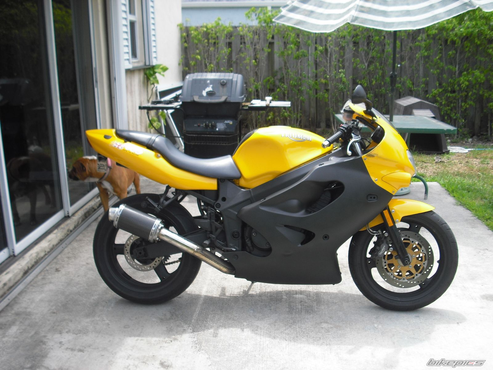 Photo 1671479