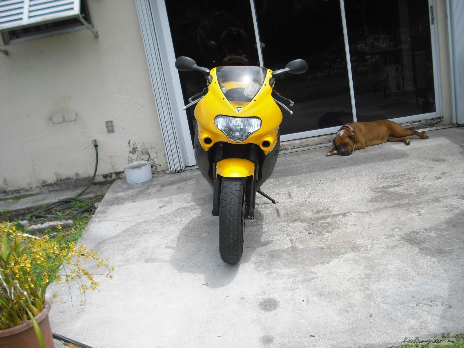 Photo 1671485