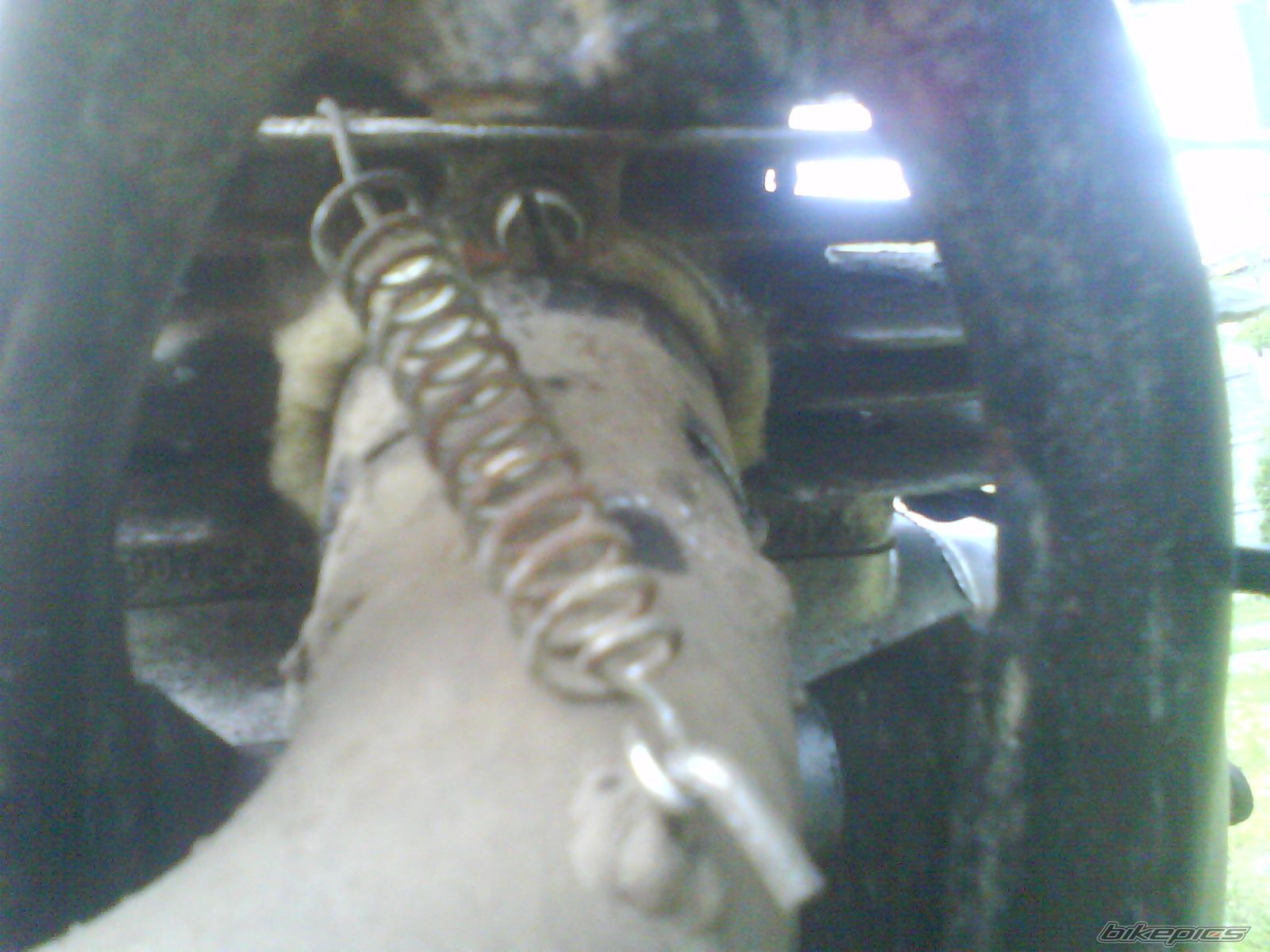 Photo 1671648