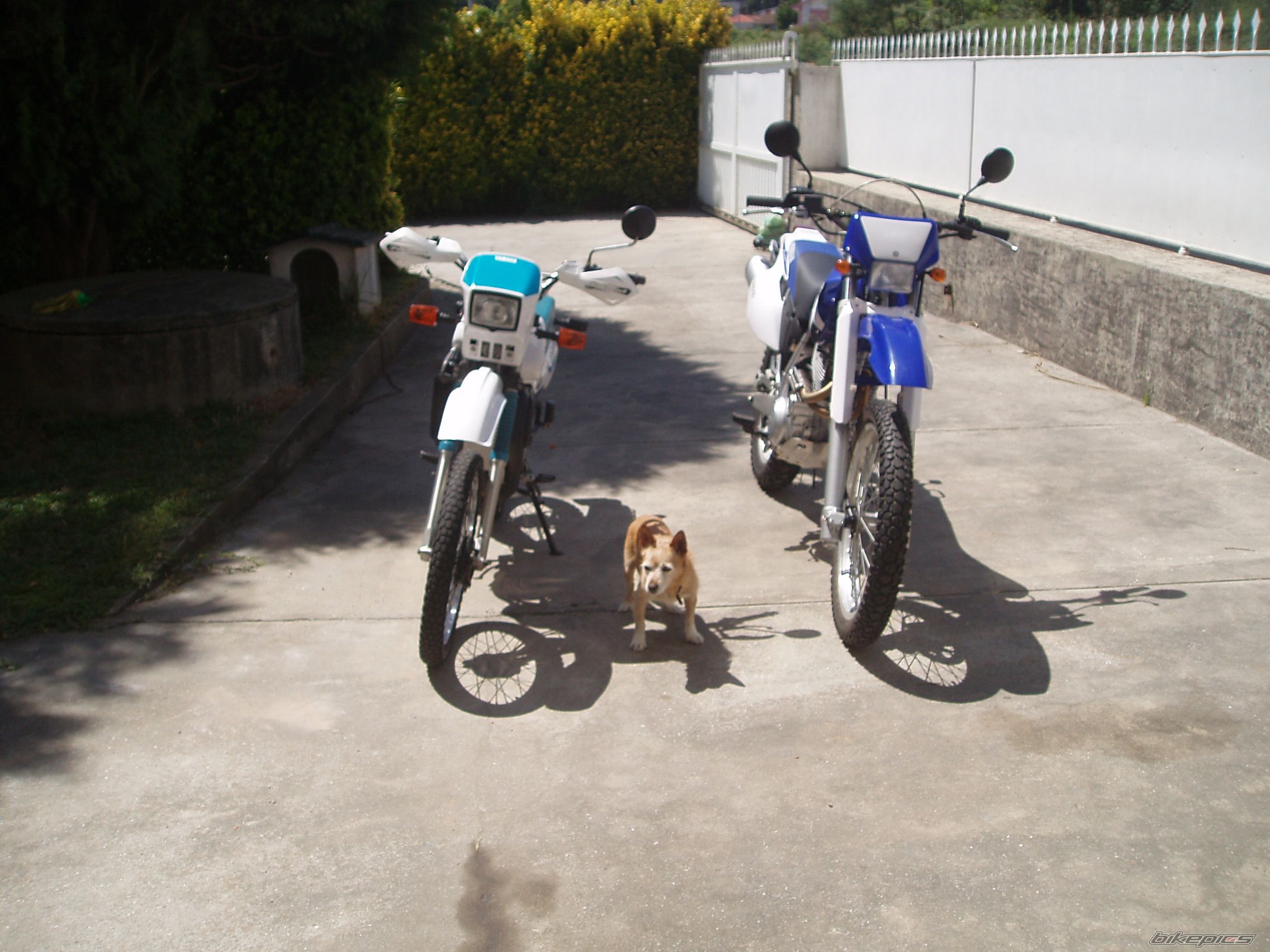 Photo 1671885