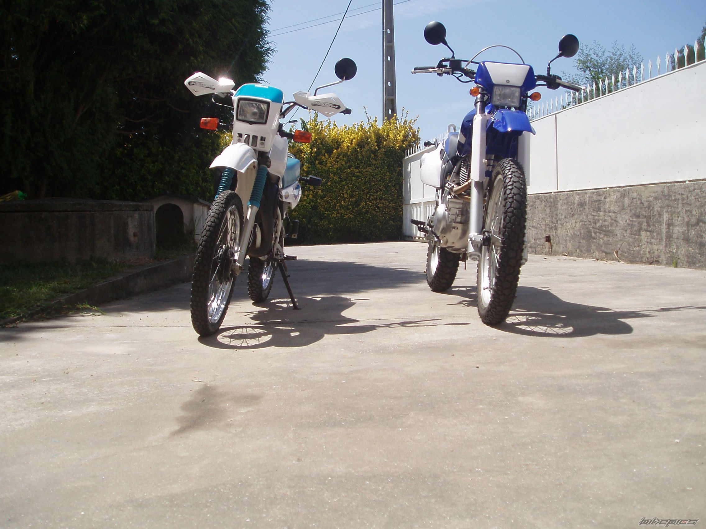 Photo 1671892