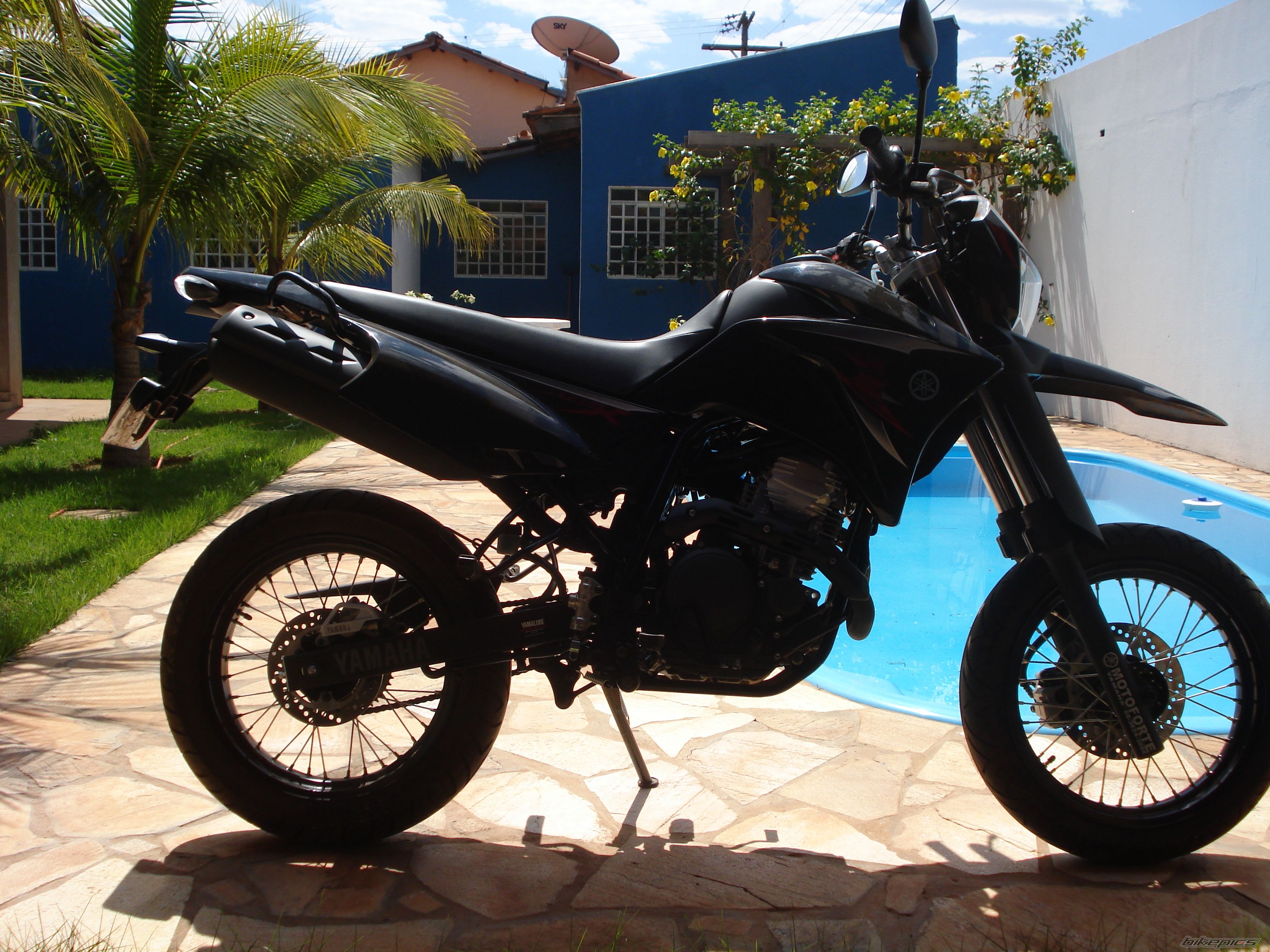 Photo 1672042