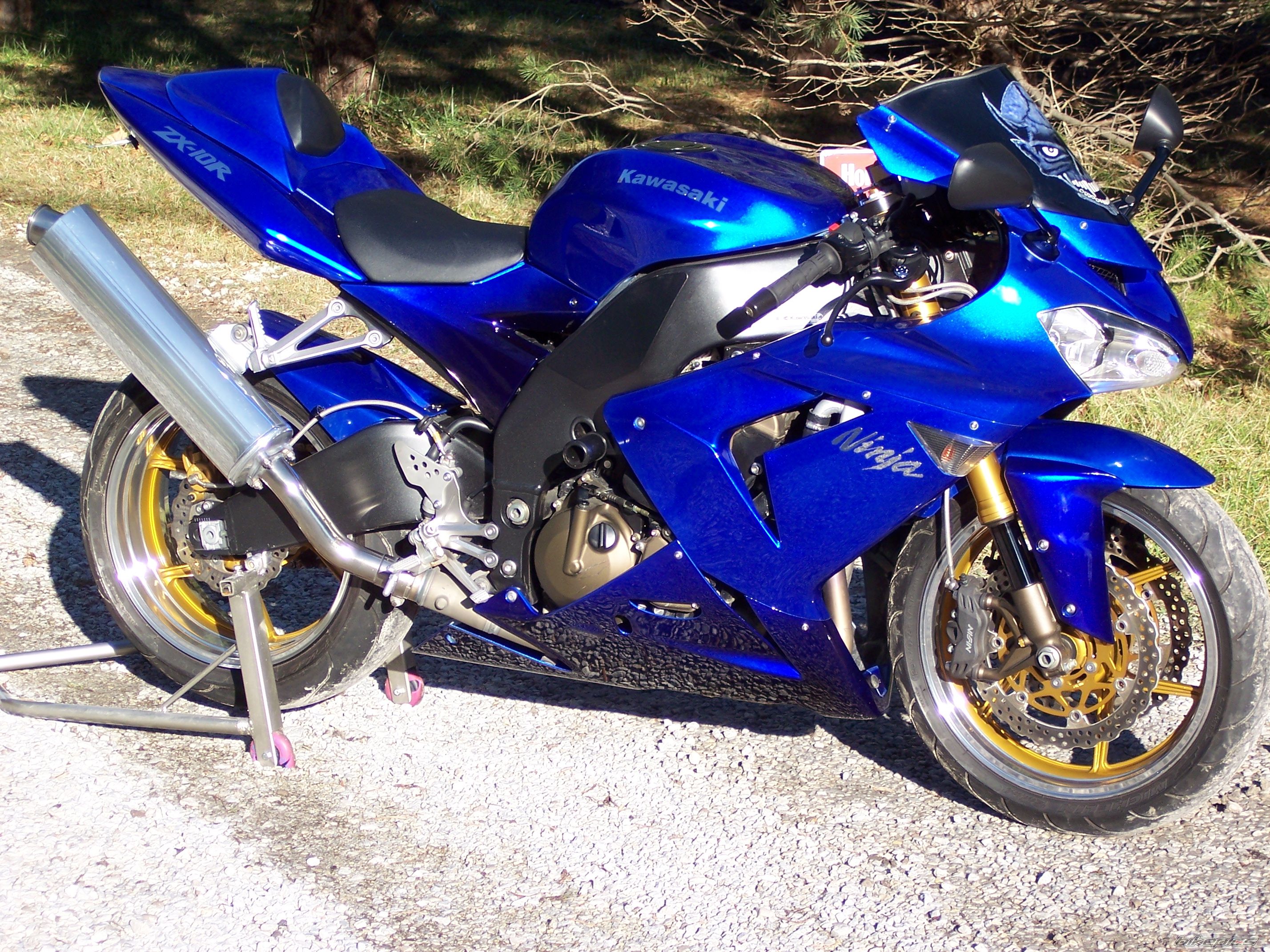 Photo 1672050