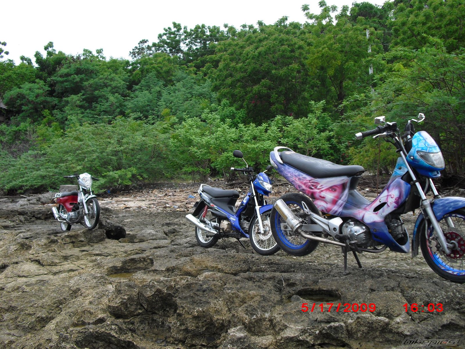 Photo 1672131