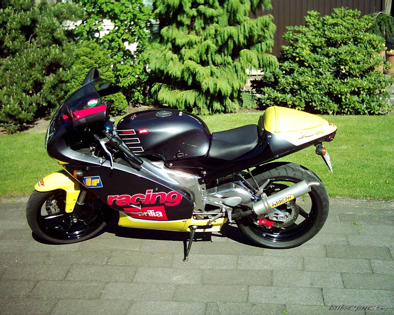 Photo 167216