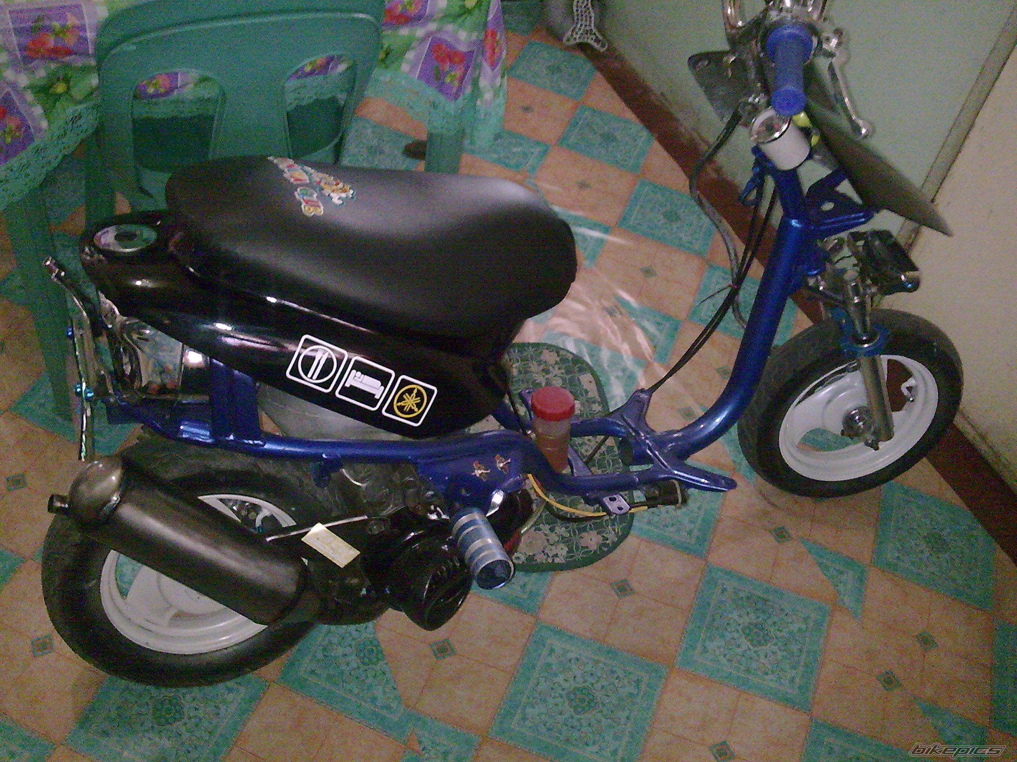 Photo 1672174