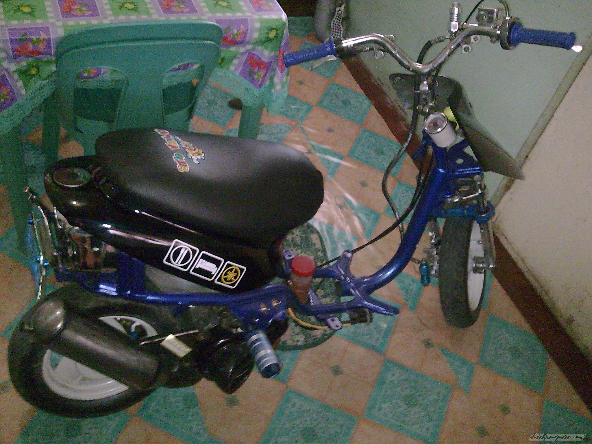 Photo 1672175