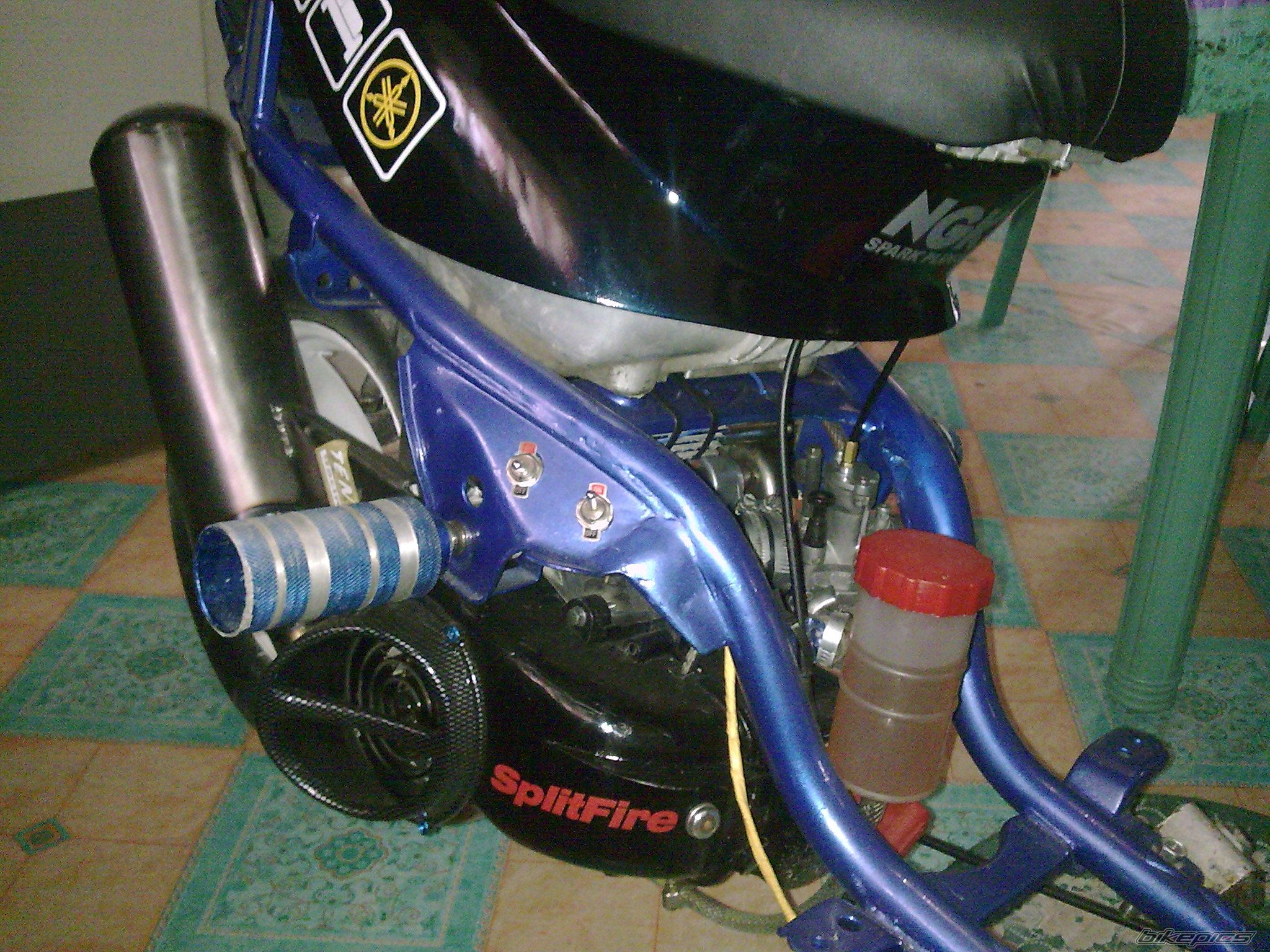 Photo 1672180