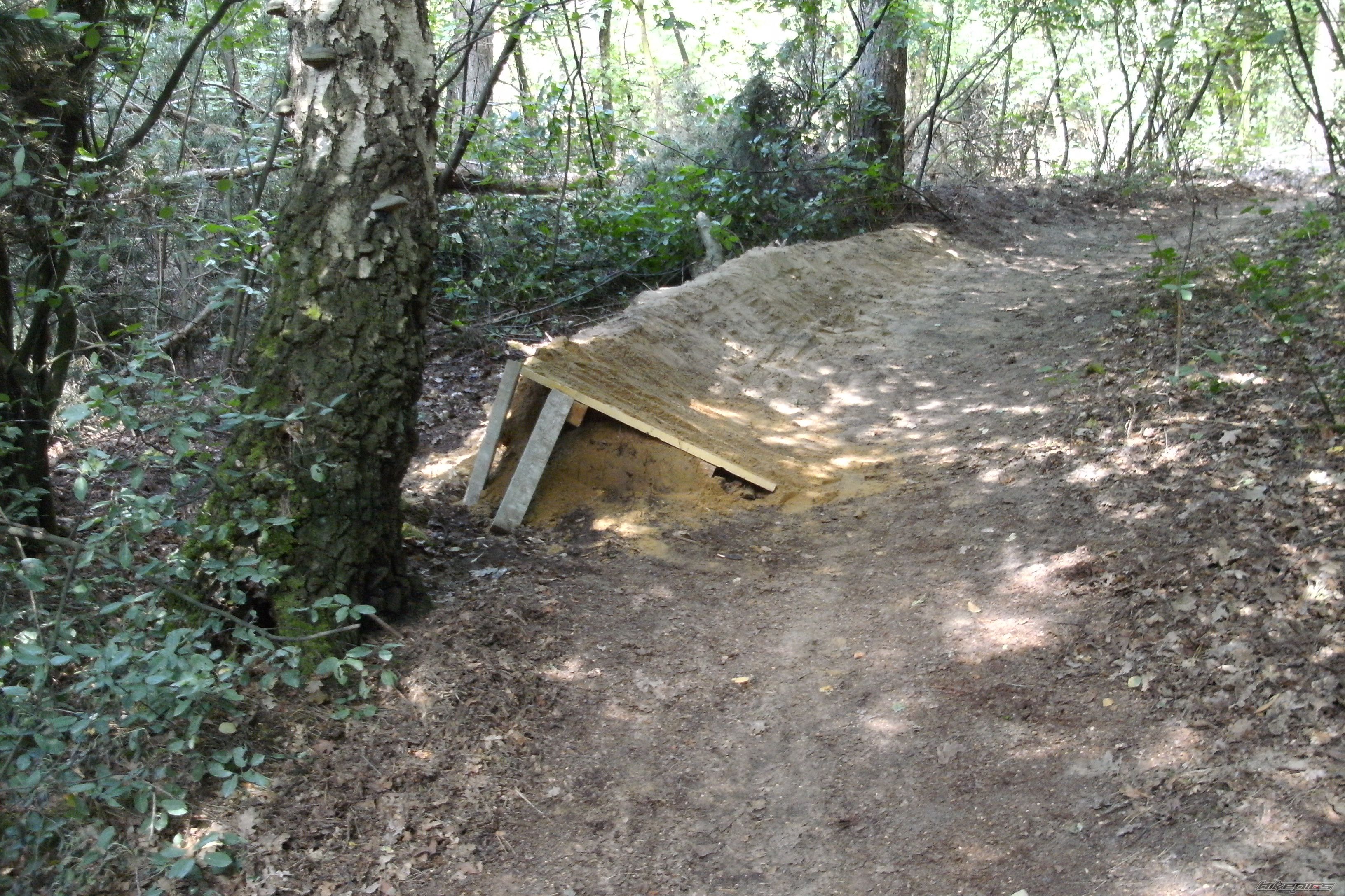 Photo 1672231
