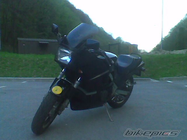 Photo 1672260
