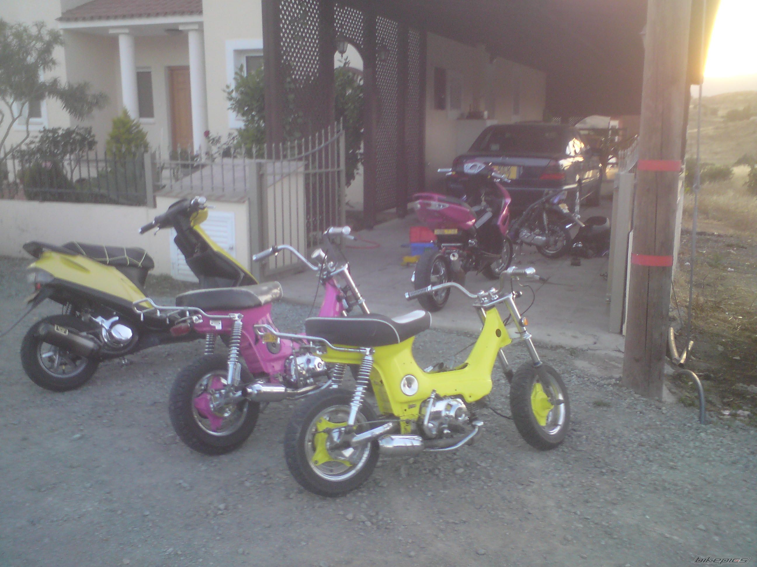 Photo 1672273