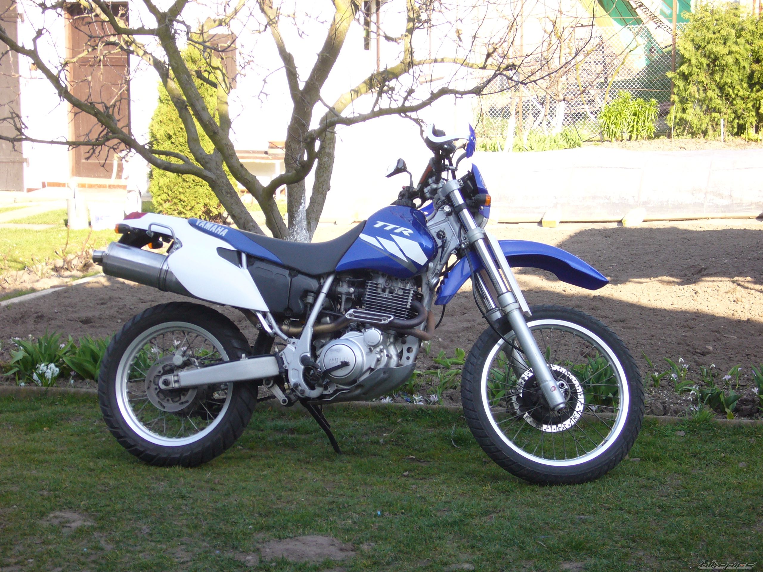 Photo 1672278
