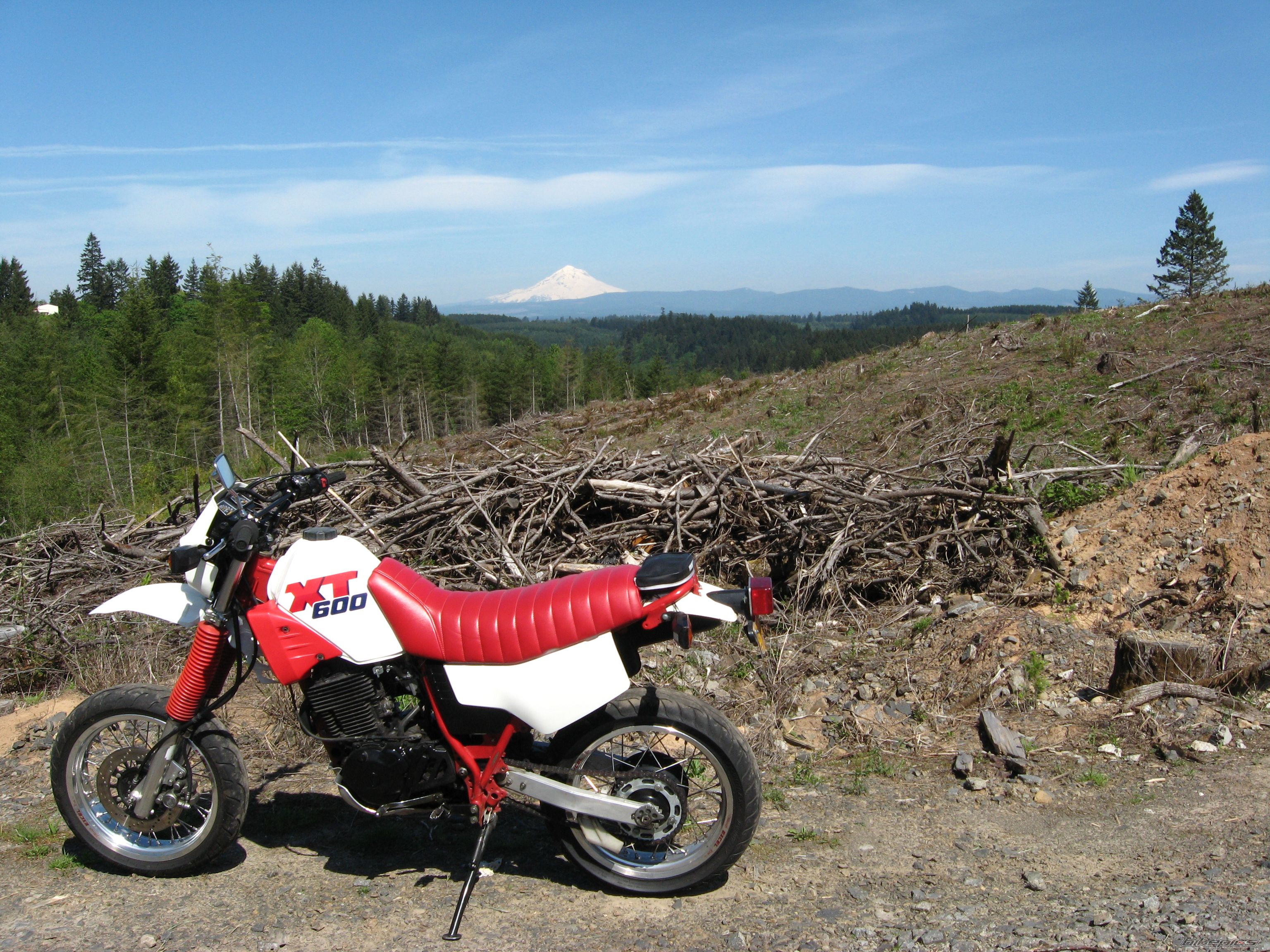 Bike Photo 1672541