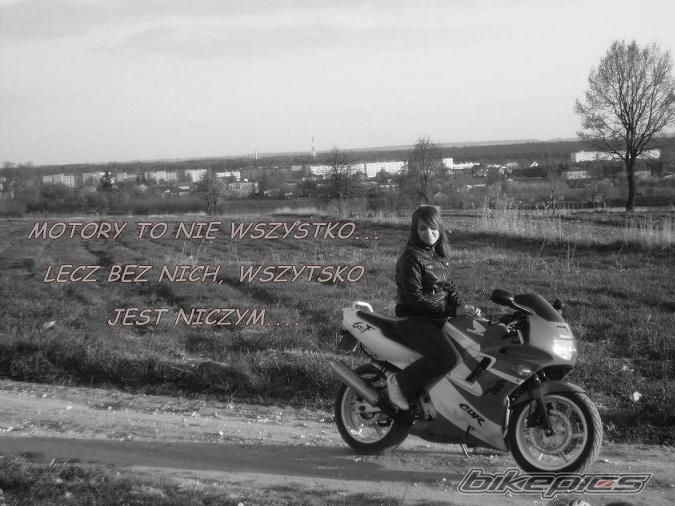 Photo 1672569