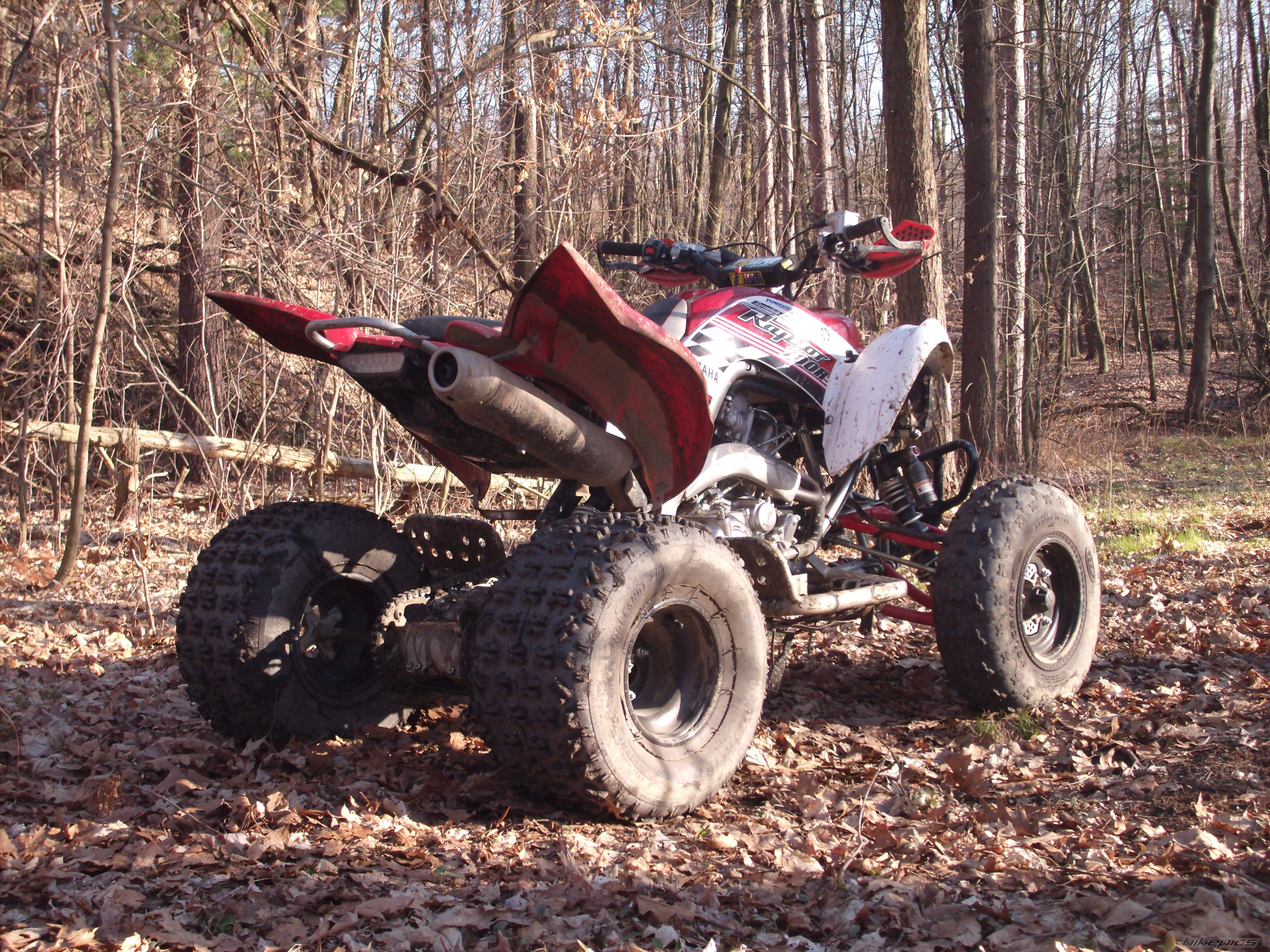 Bike Photo 1672599