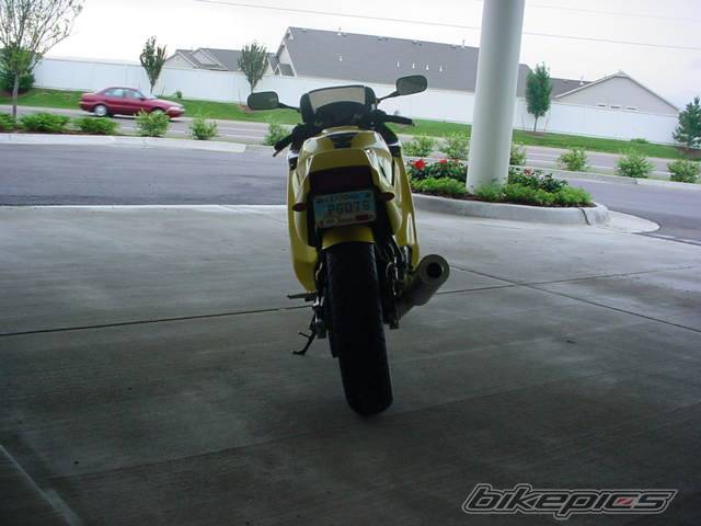 Photo 167264