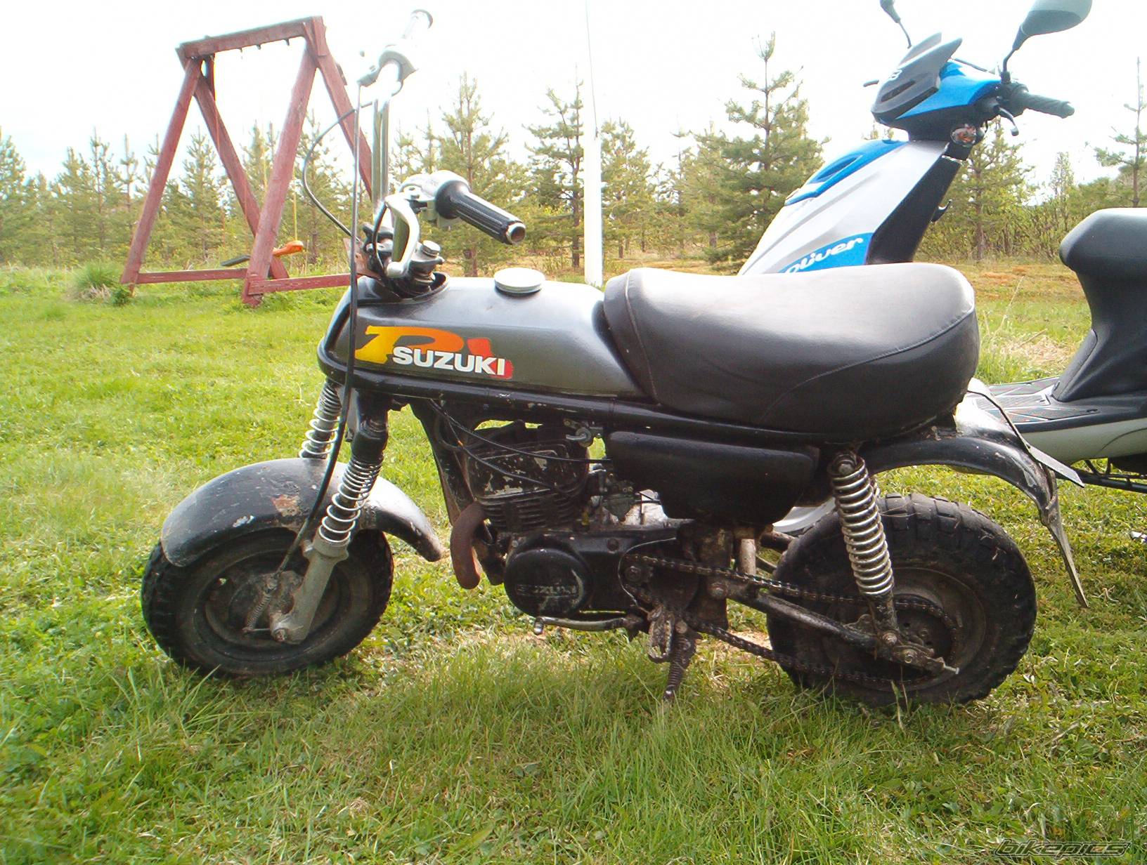 Photo 167267