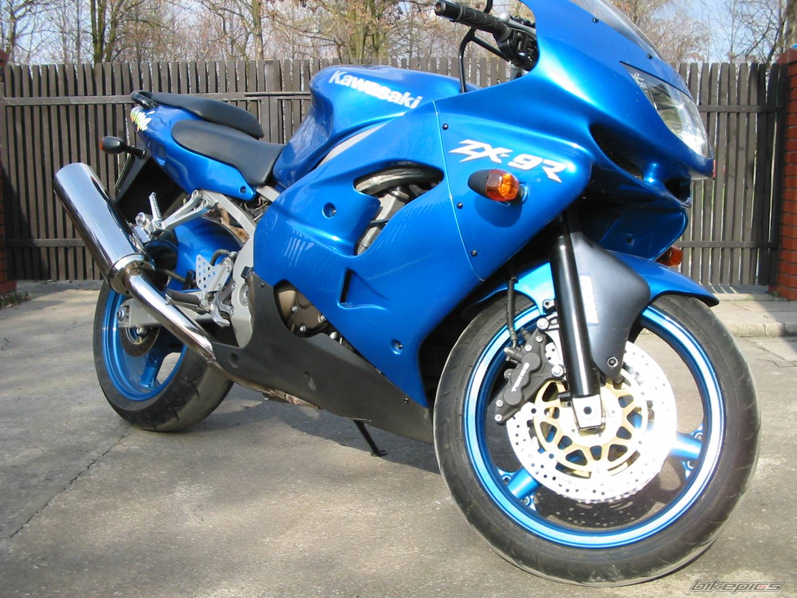 Photo 167273