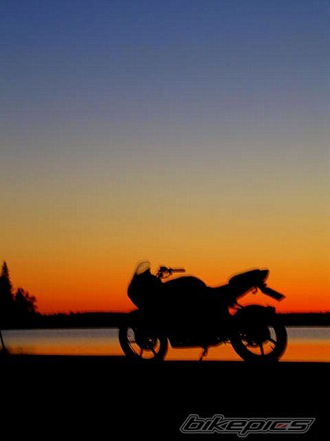 Photo 1672759
