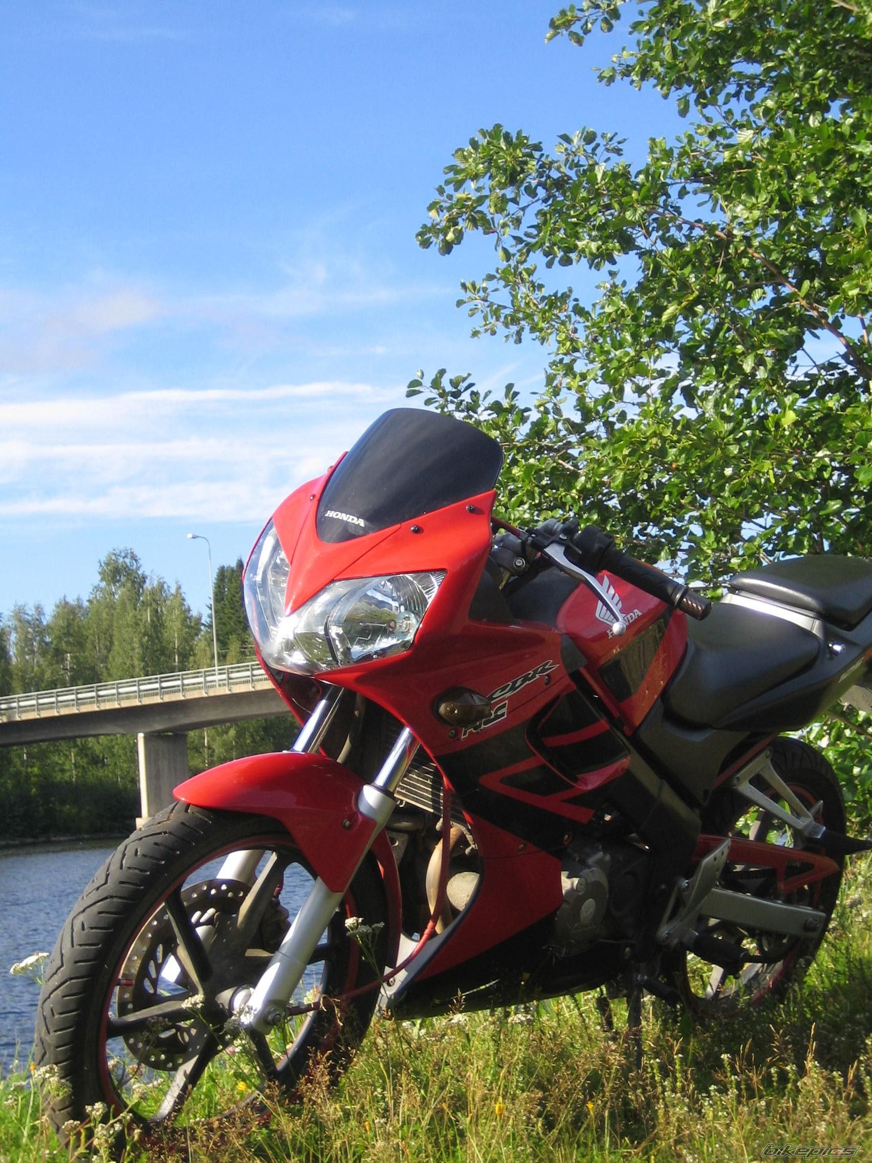 Photo 1672767