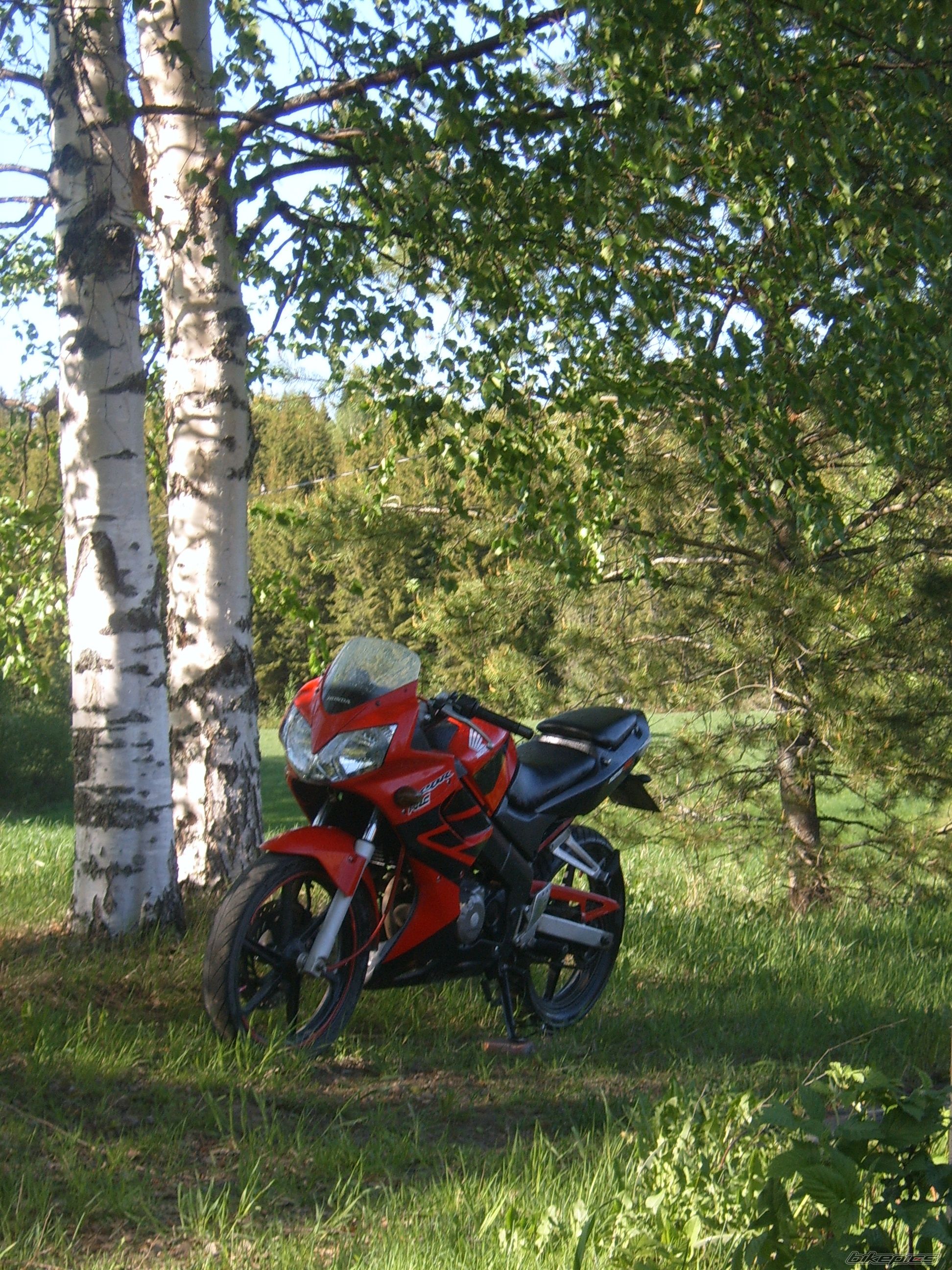 Photo 1672769