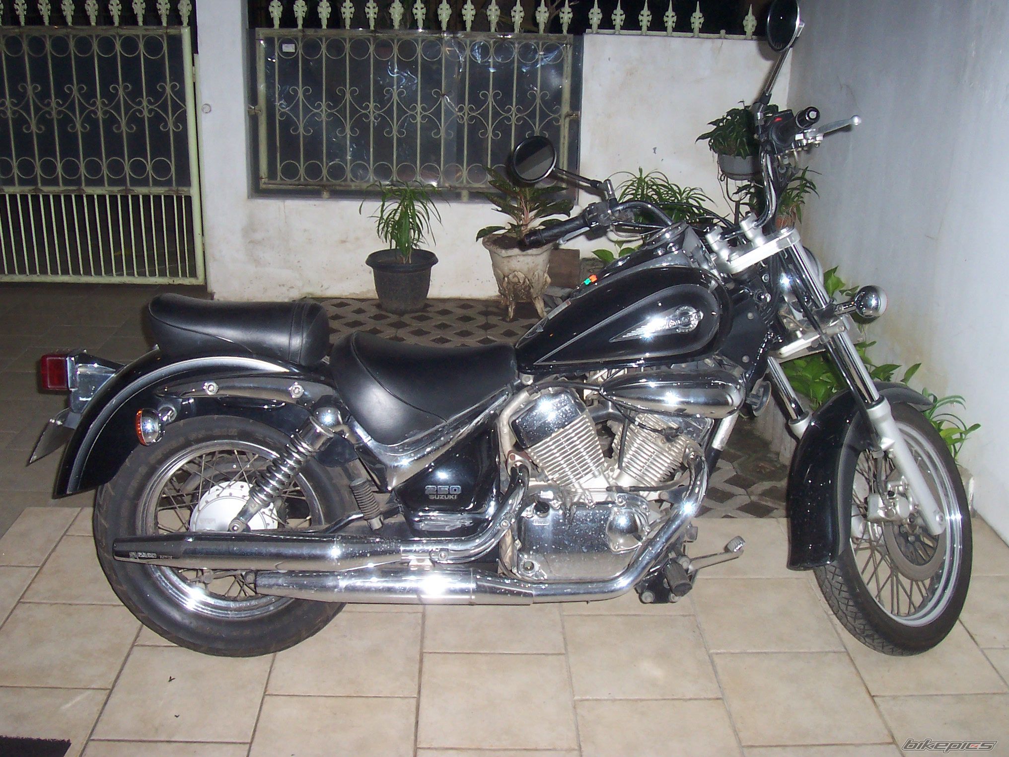 Photo 1672789