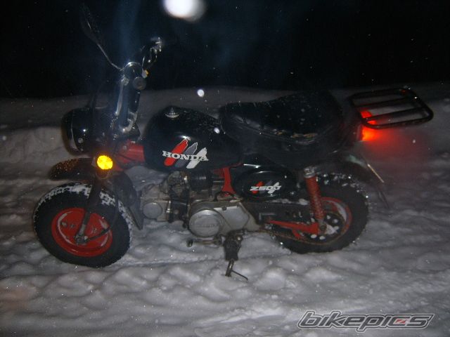 Photo 1672790