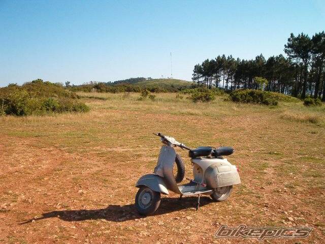Photo 167280