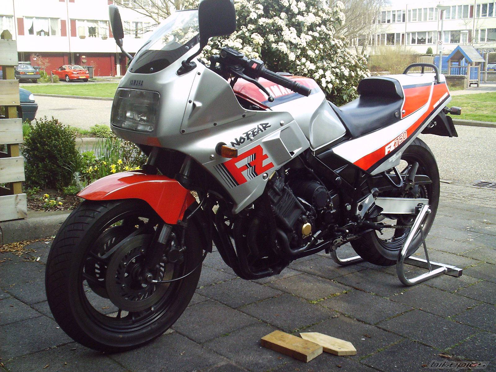 Photo 167282