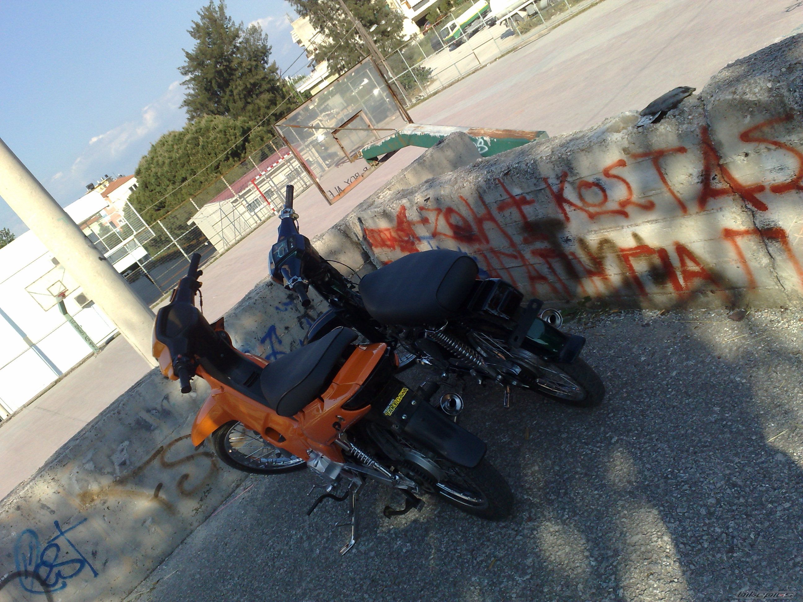Photo 1672887