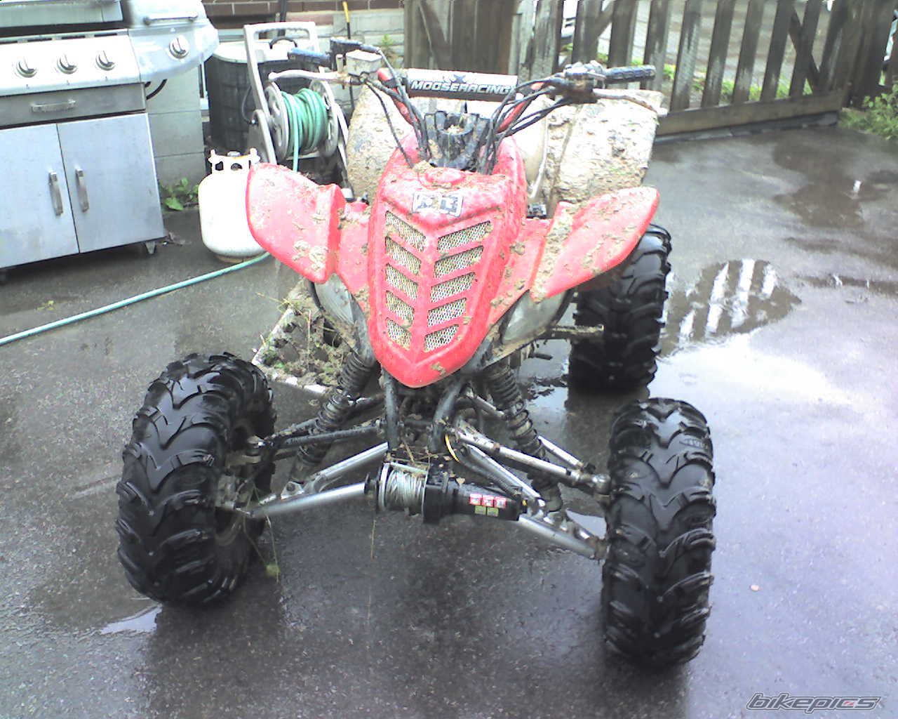 Photo 1672905