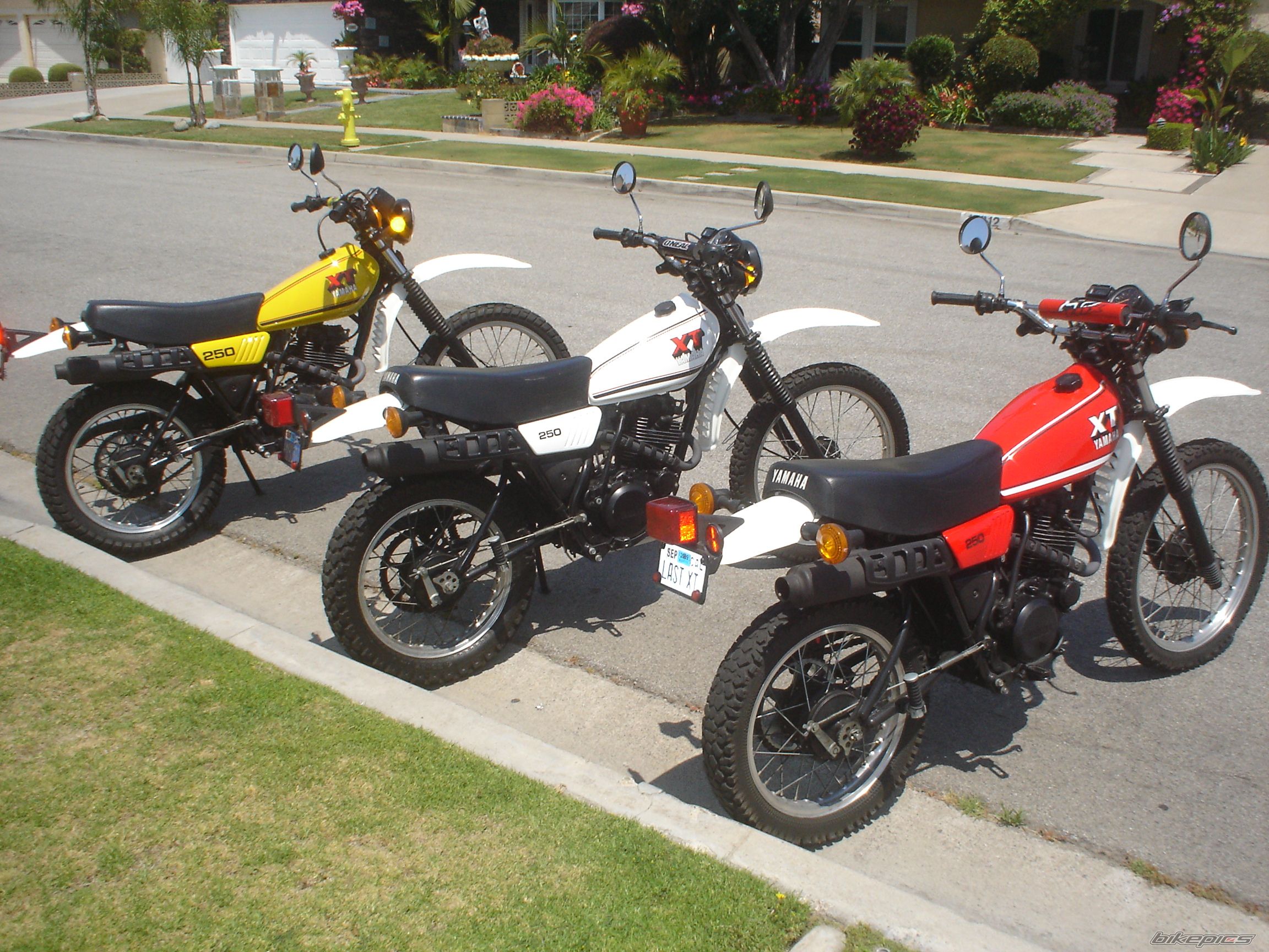 Photo 1672916